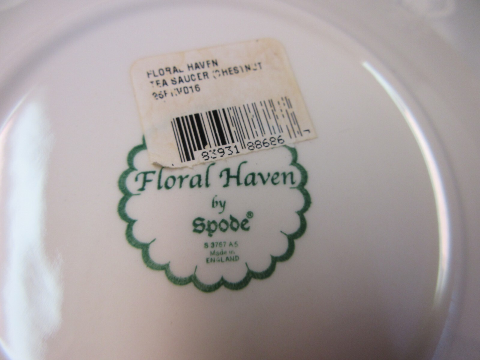 Spode Floral Haven Flat Cup Saucer Set Scalloped Butterflies Tulips Bee England