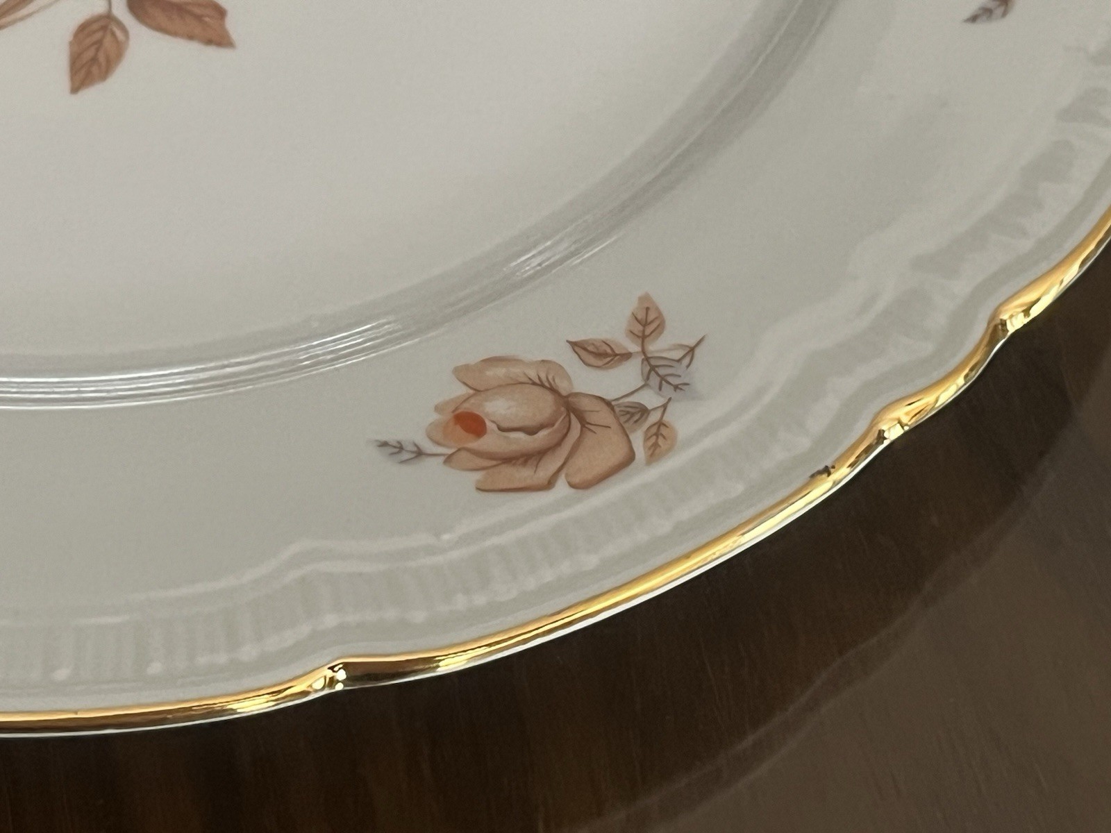 Vintage 10 Pieces Bohemian China Alpin Rose Porcelain Dining Set For 2