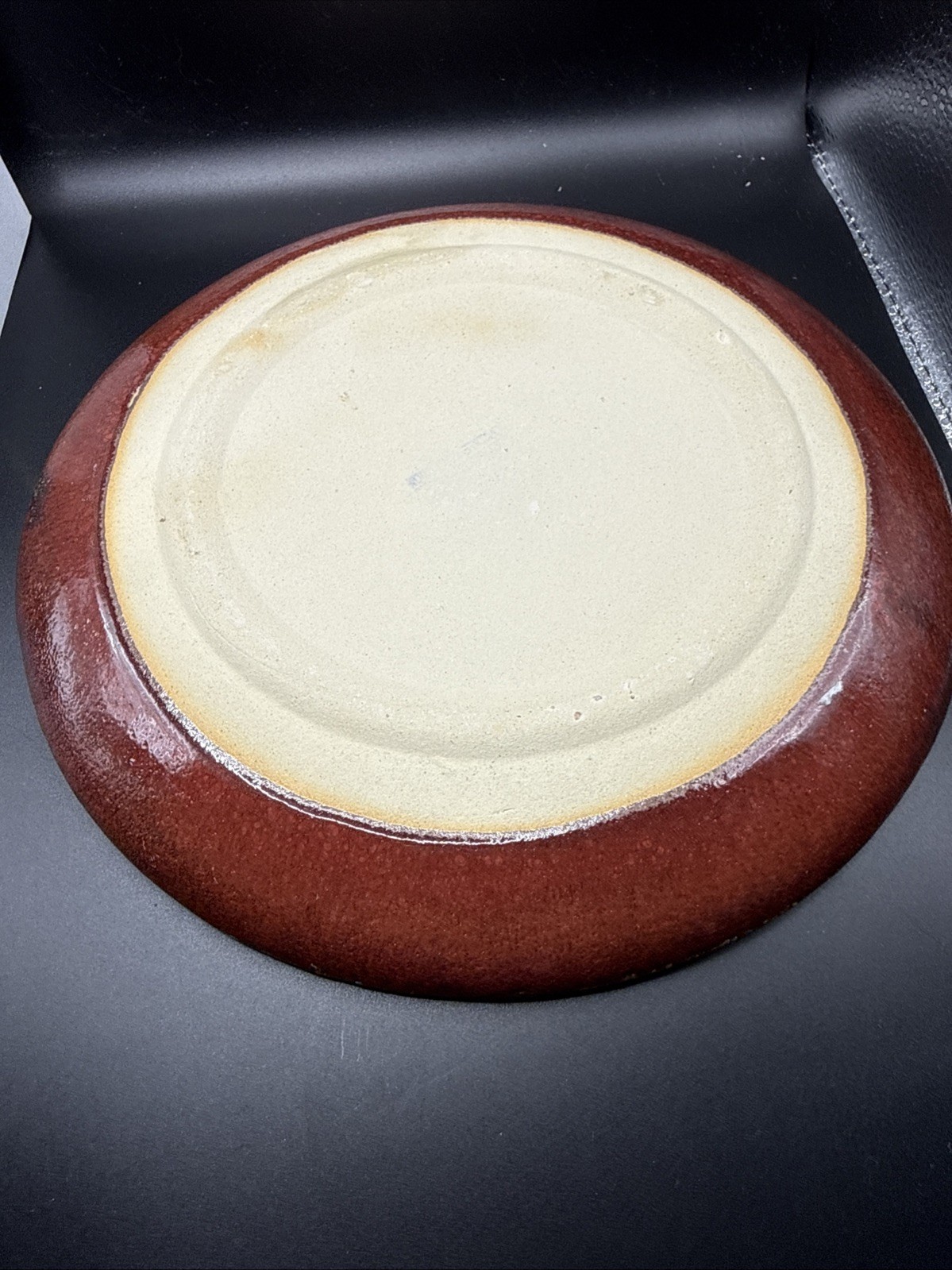 Pier 1 Crackle Collection Dinner Plate 9-1/4 Inches Set of 4 New Unique Plates