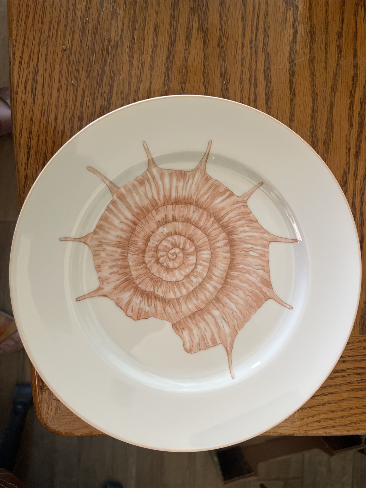 10.25″ dinner plate Coquille pattern Fitz & Floyd pink on white
