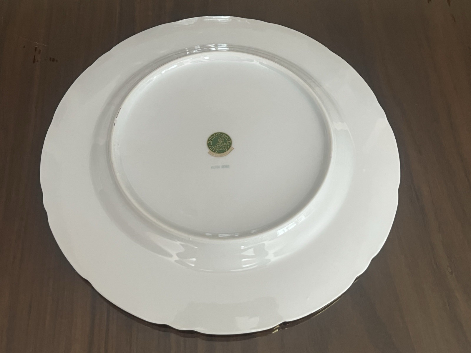 Vintage 10 Pieces Bohemian China Alpin Rose Porcelain Dining Set For 2