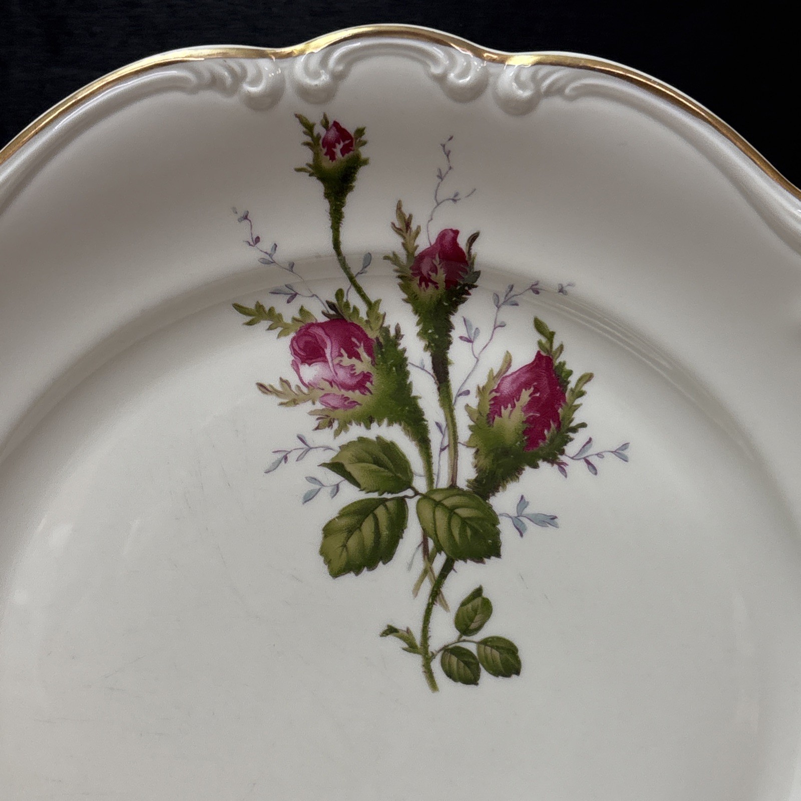 Rosenthal Continental MOSS ROSE POMPADOUR (Ivory) Dinner Plate 10 1/8 Inches