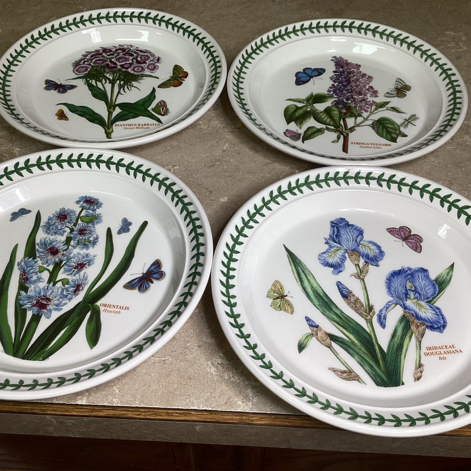 SET OF 4 Portmeirion BOTANIC GARDEN 8 1/2” Salad Plates – Assorted-new