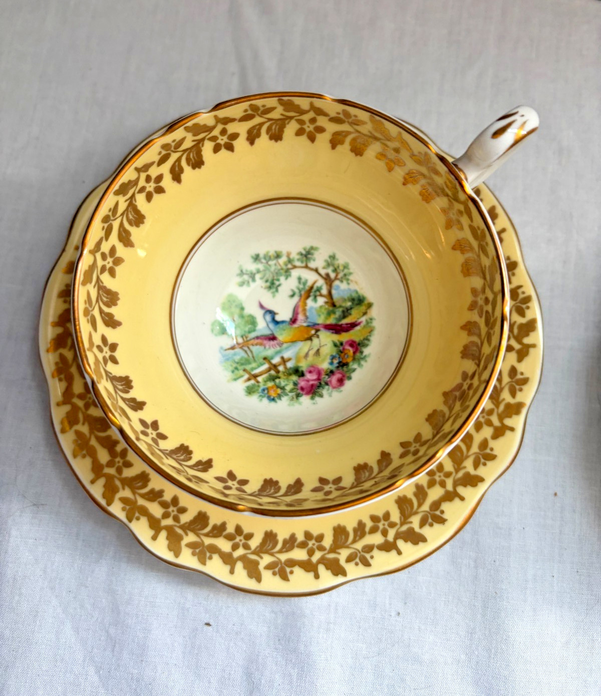 Vintage Foley Bone China England Yellow & Green Tea Cup Saucer Set Gold Trim