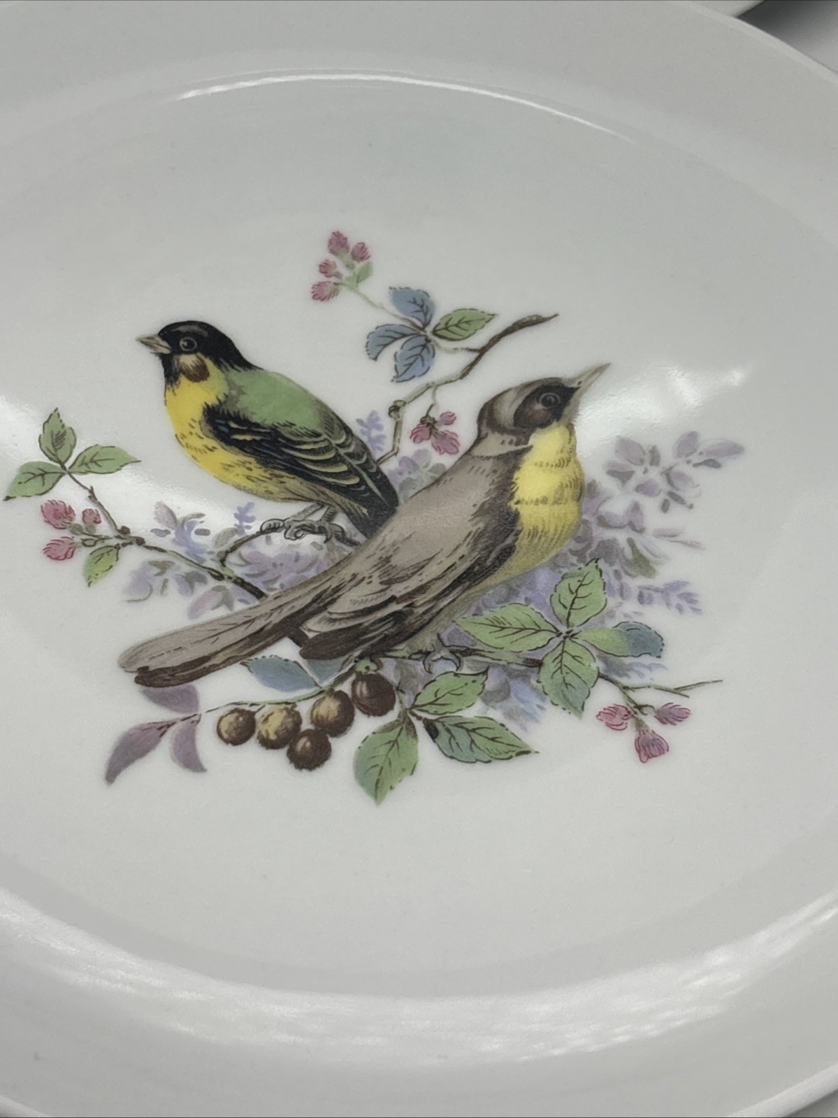 6 Vintage Hand Painted Bird & Floral Porcelain 7 3/4Wall Plates Kaiser W Germany