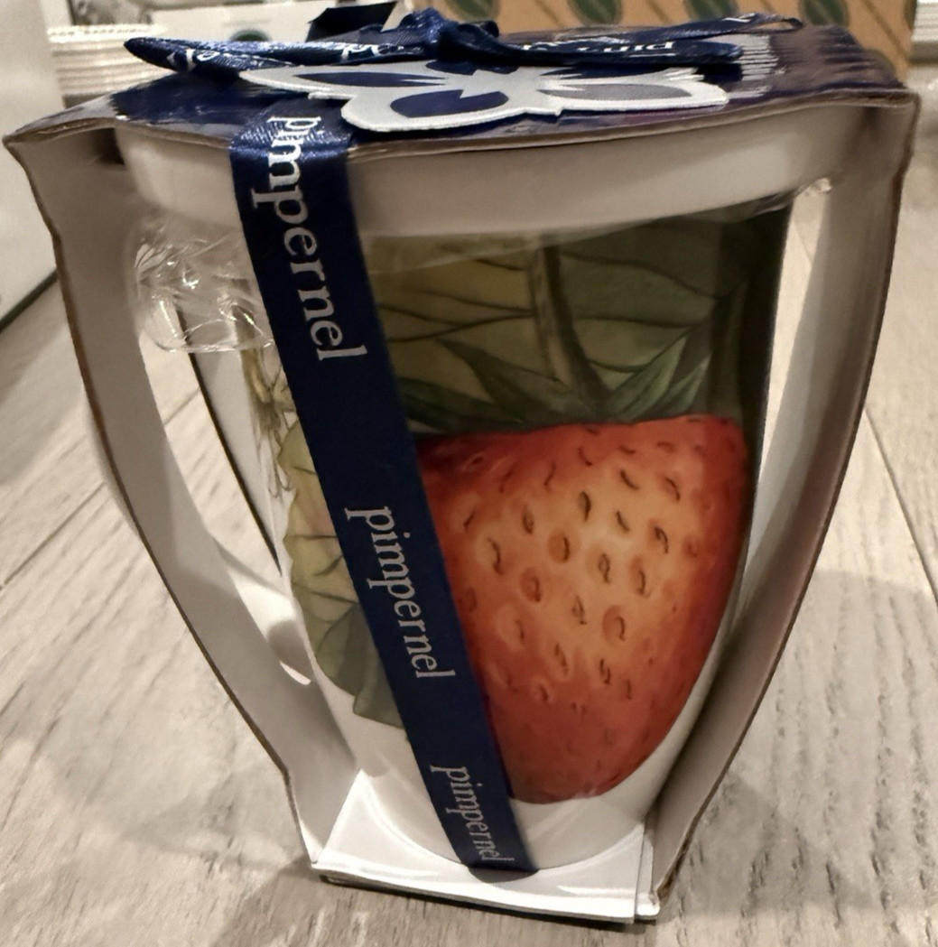 Portmeirion POMONA STRAWBERRY FAIR Tisaniere Tea Mug NWT