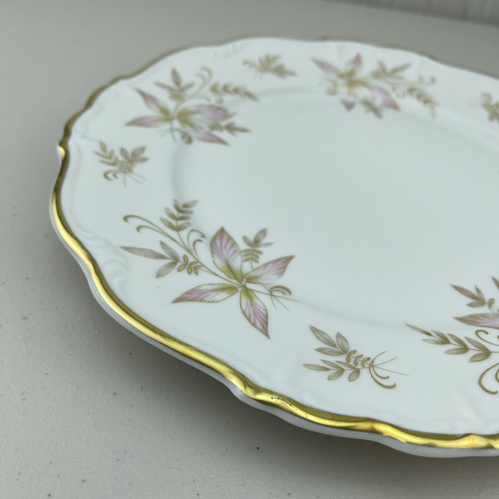 Edelstein Bavaria Maria-Theresia OAKLAND 19705 30 Dinner Plate 10″