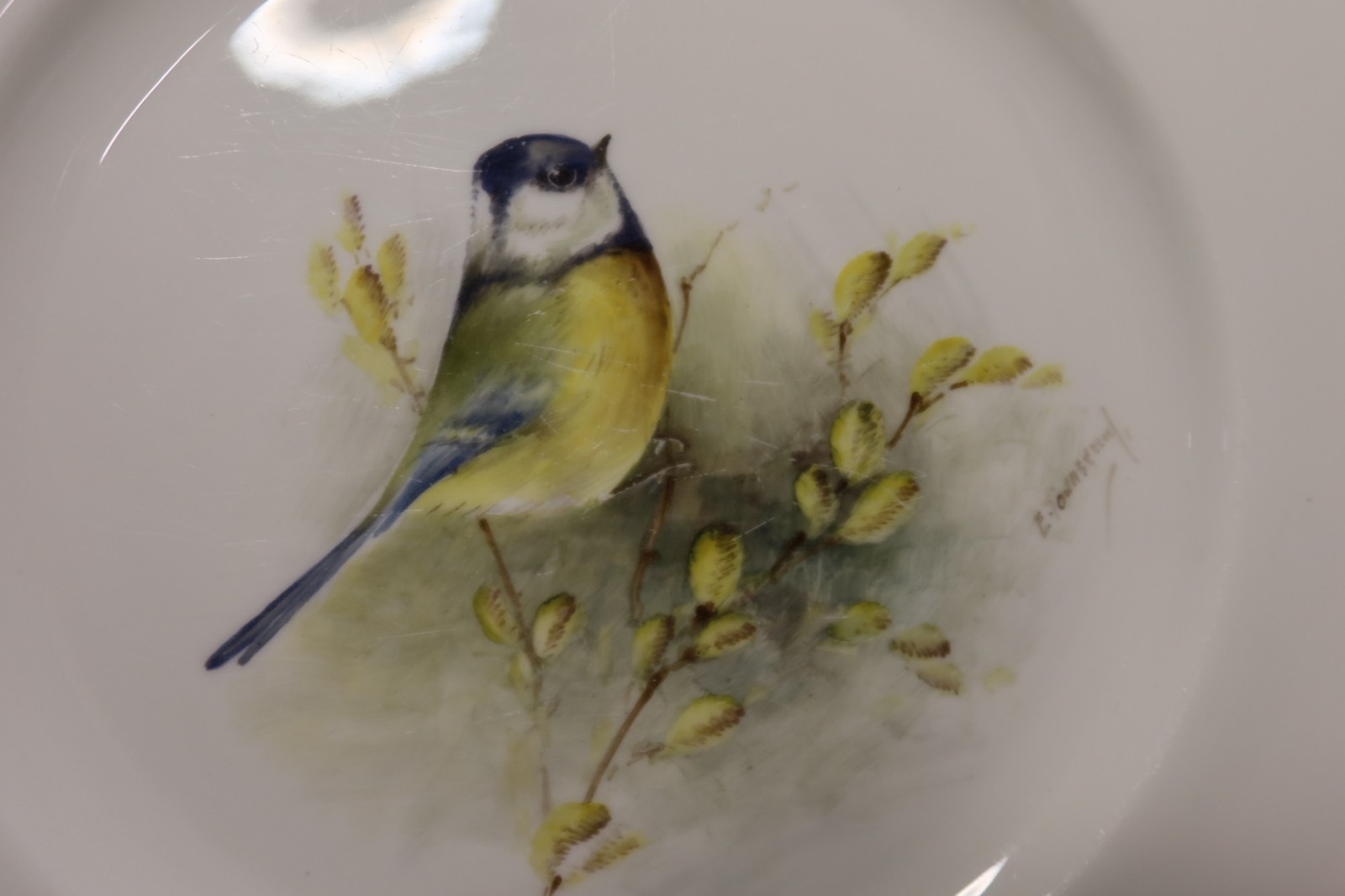 Royal Worcester Multi-Motif Birds Bone China 2 Dinner Plates Artist E. Townsend
