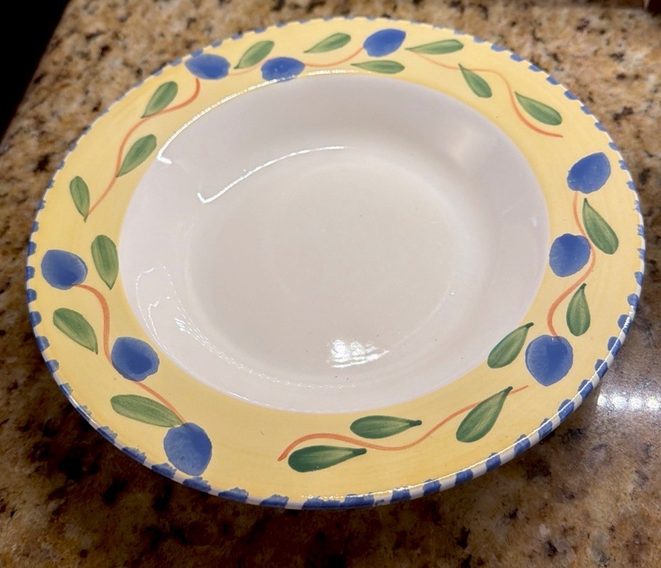 Set of 4 Pier 1 Palermo 8 3/4″ Round Soup Cereal Bowls