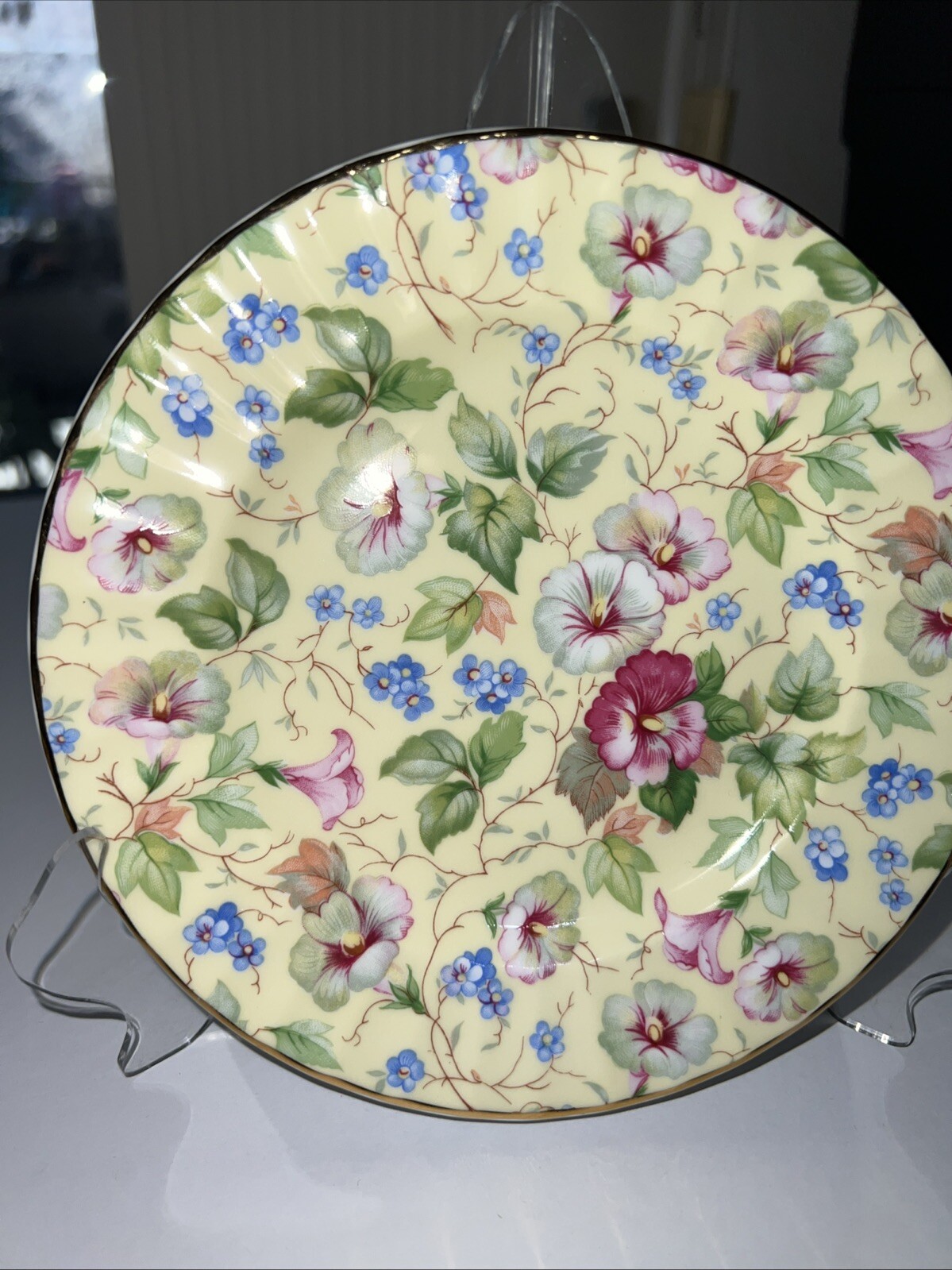 Staffordshire Royal Victorian St George , Dorset Rose Cake 6-1/2” Plate NOTEs