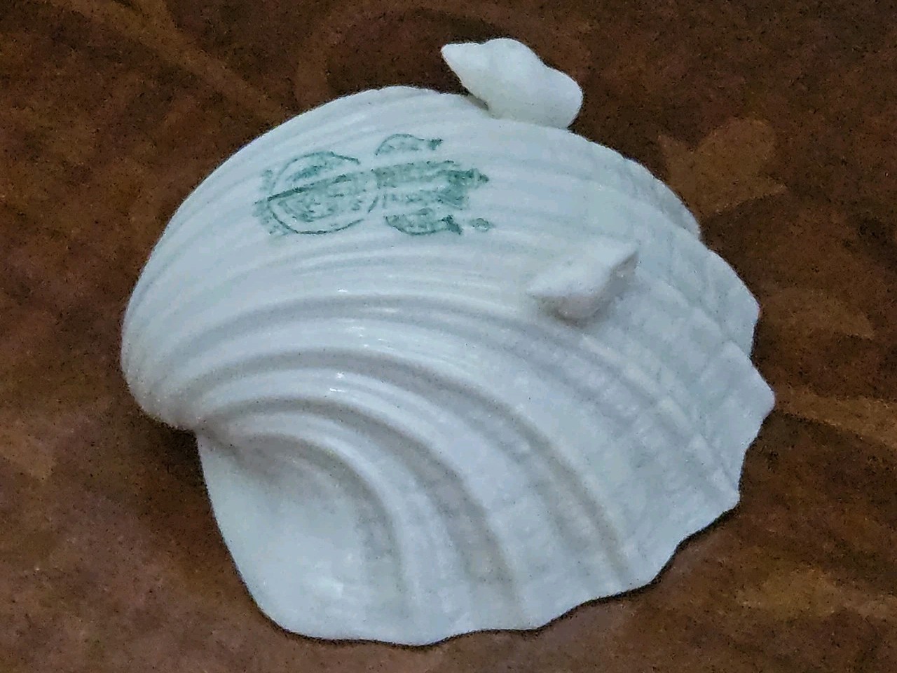 ESTATE ANTIQUE VINTAGE BELLEEK NEPTUNE PORCELAIN CORAL SHELL SERVING SUGAR BOWL