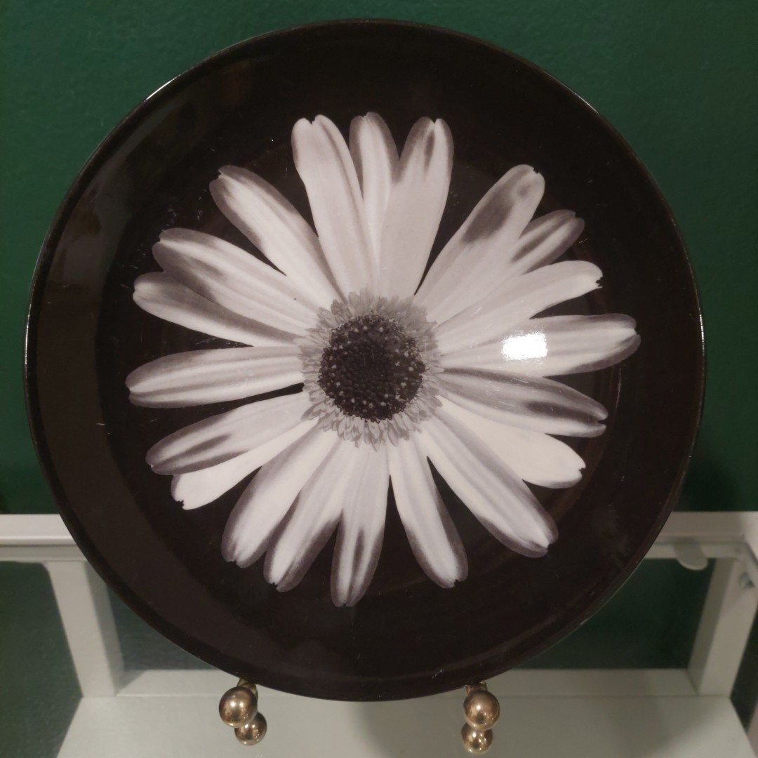 4 Wedgwood NIGHT & DAY BLOOMERS Black White Daisy Rose Salad Plates 8 1/8 Inches