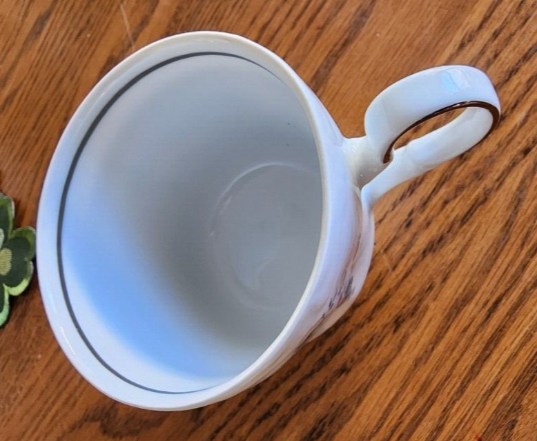 Blue Garland Cup Saucer Set Johann Haviland Porcelain White Blue Platinum !
