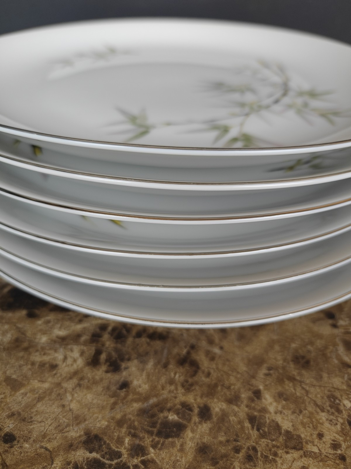 Set Of 6 Empress Fine China Dinner Plates Bamboo Garden 10.5″ Japan 1552
