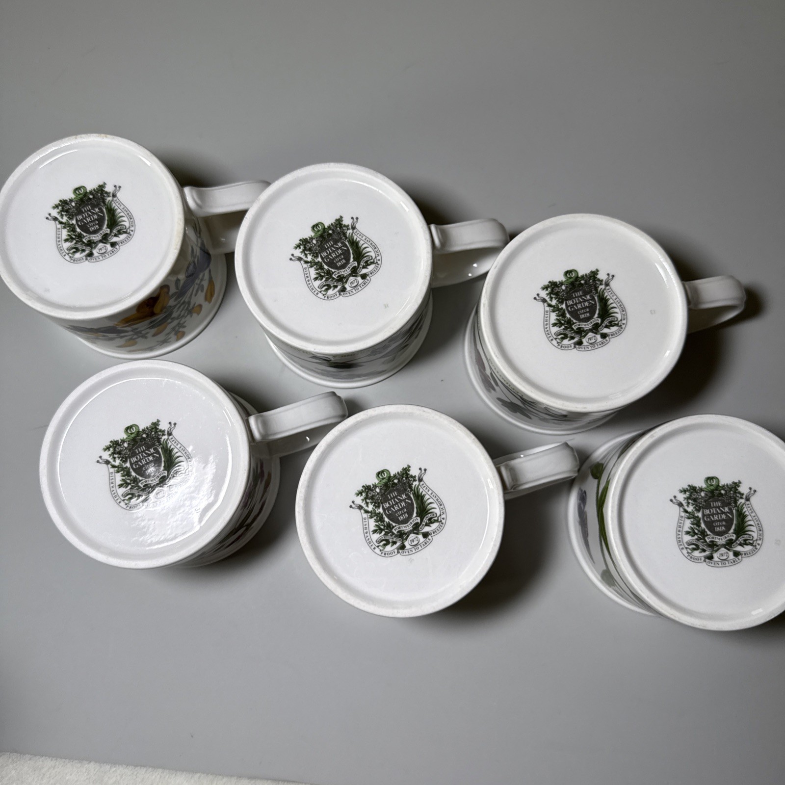 Portmeirion Botanic Garden Set of 6 Flat Cups & Saucers Made in England Assorted