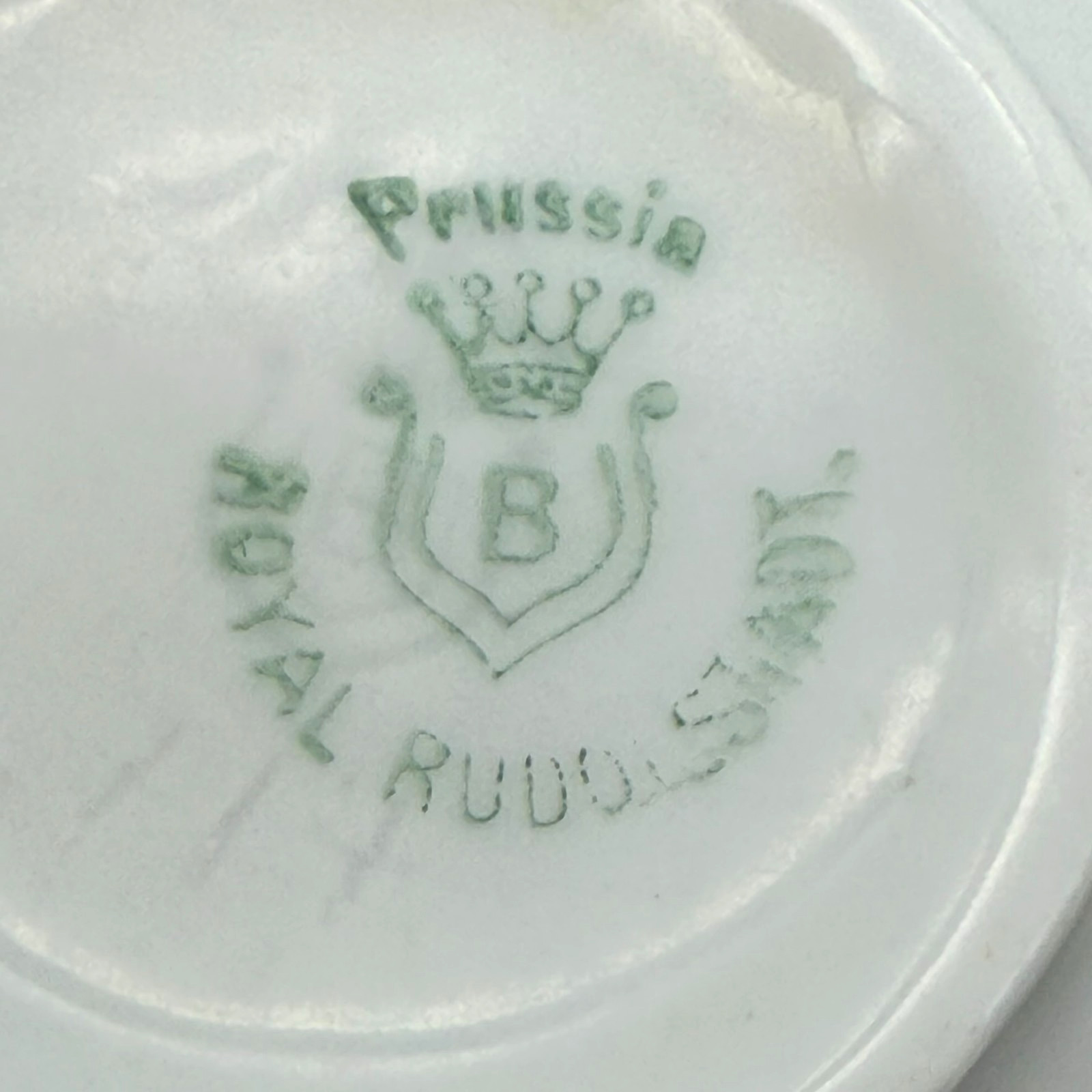 Circa 1905-1931 Royal Rudolstadt Prussia Floral Teacup & Saucer Set