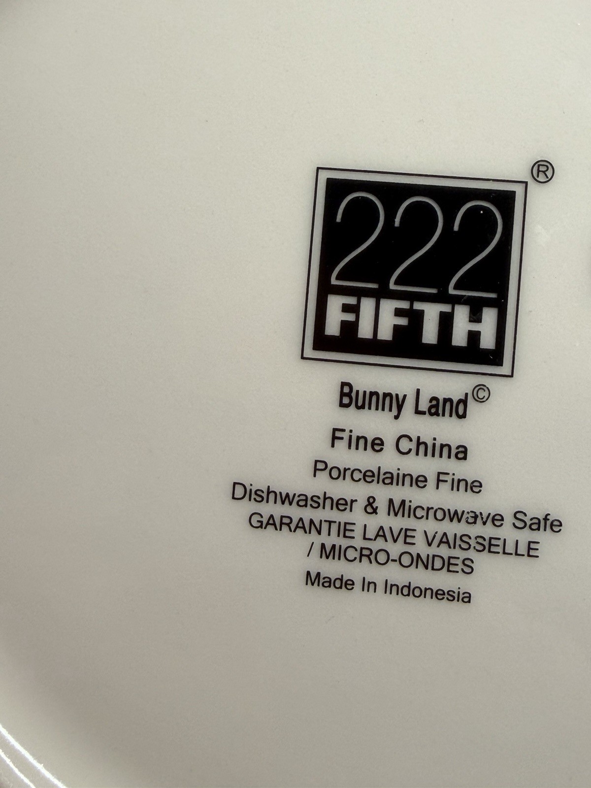 222 Fifth Bunny Land Rabbit Gingham Edge Easter Salad Plates 8” Set Of 4 New