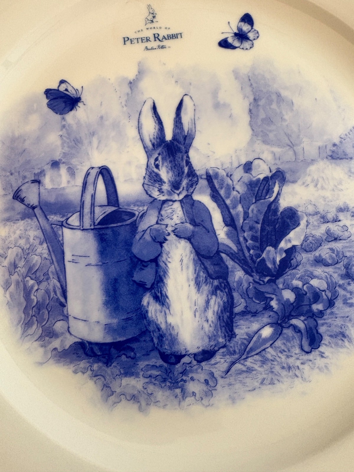 ZRike Beatrix Potter Peter Rabbit Dinner Plate Blue White 10.5