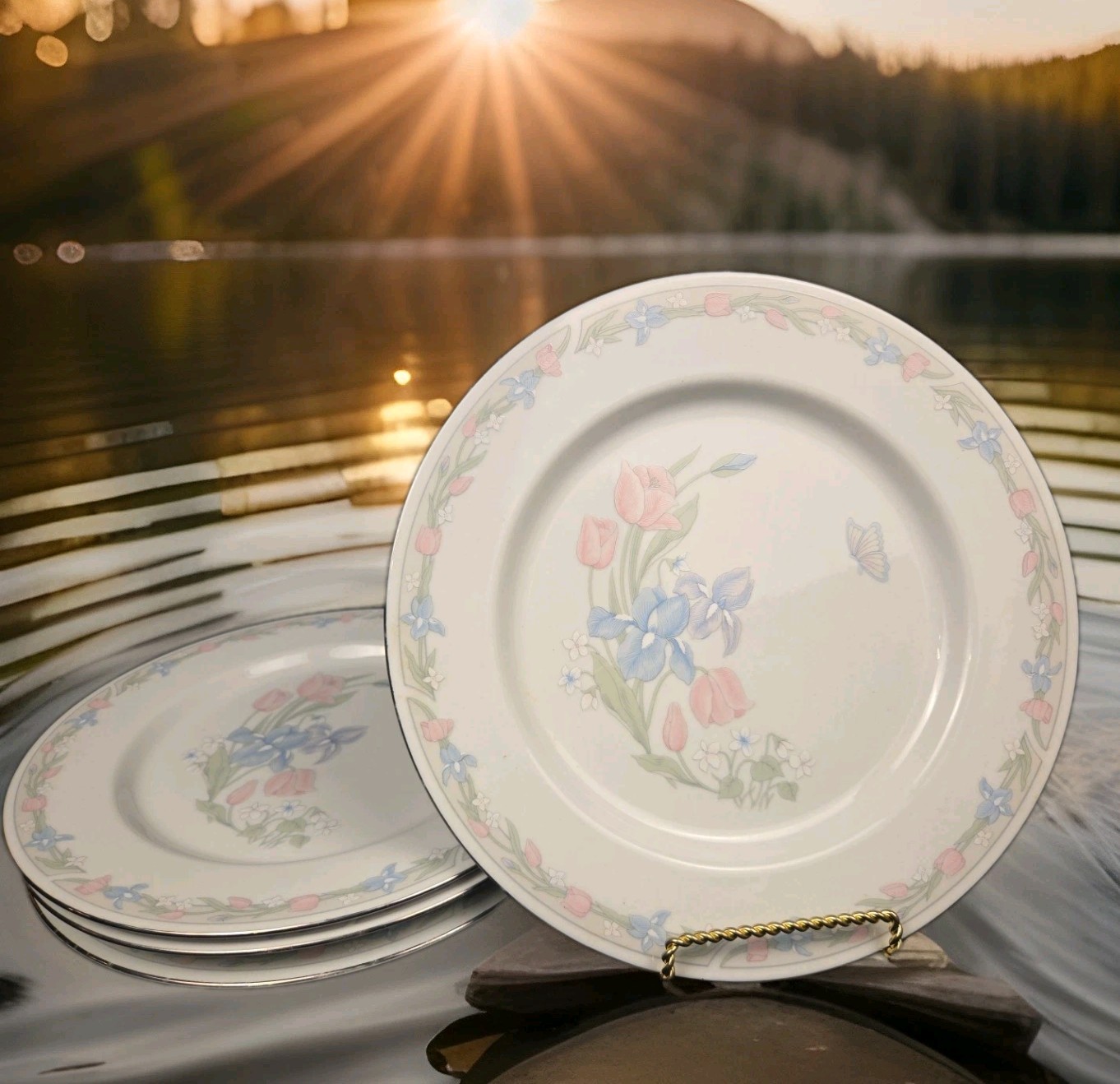 Center Stage By Excel Illusions Floral Border Center Dinner Plate 10.5″ Set of 4