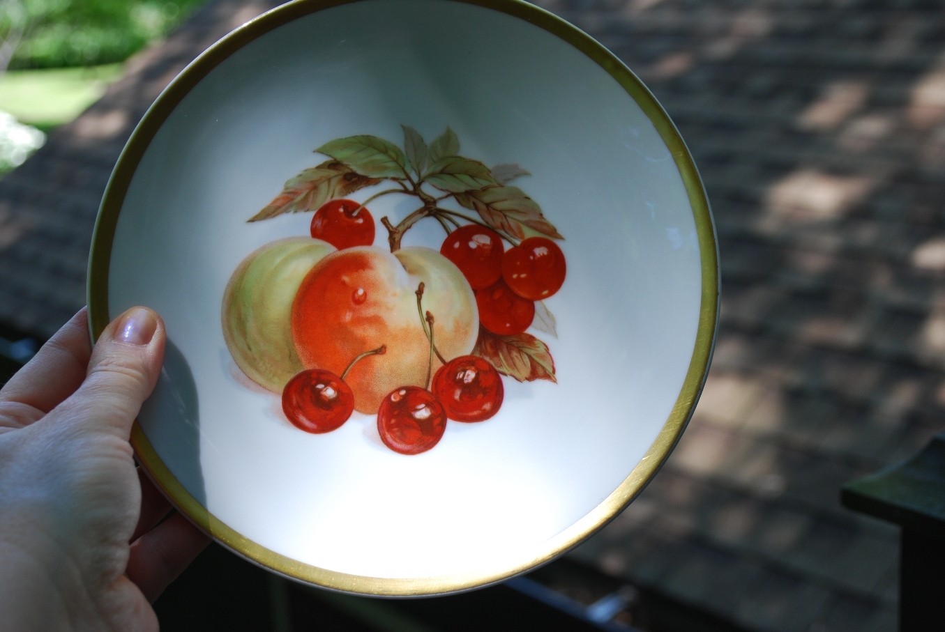 Vintage Set 2 DECORATIVE PLATES/ PEACH & APPLE Bavaria Jaeger Germany Porcelain