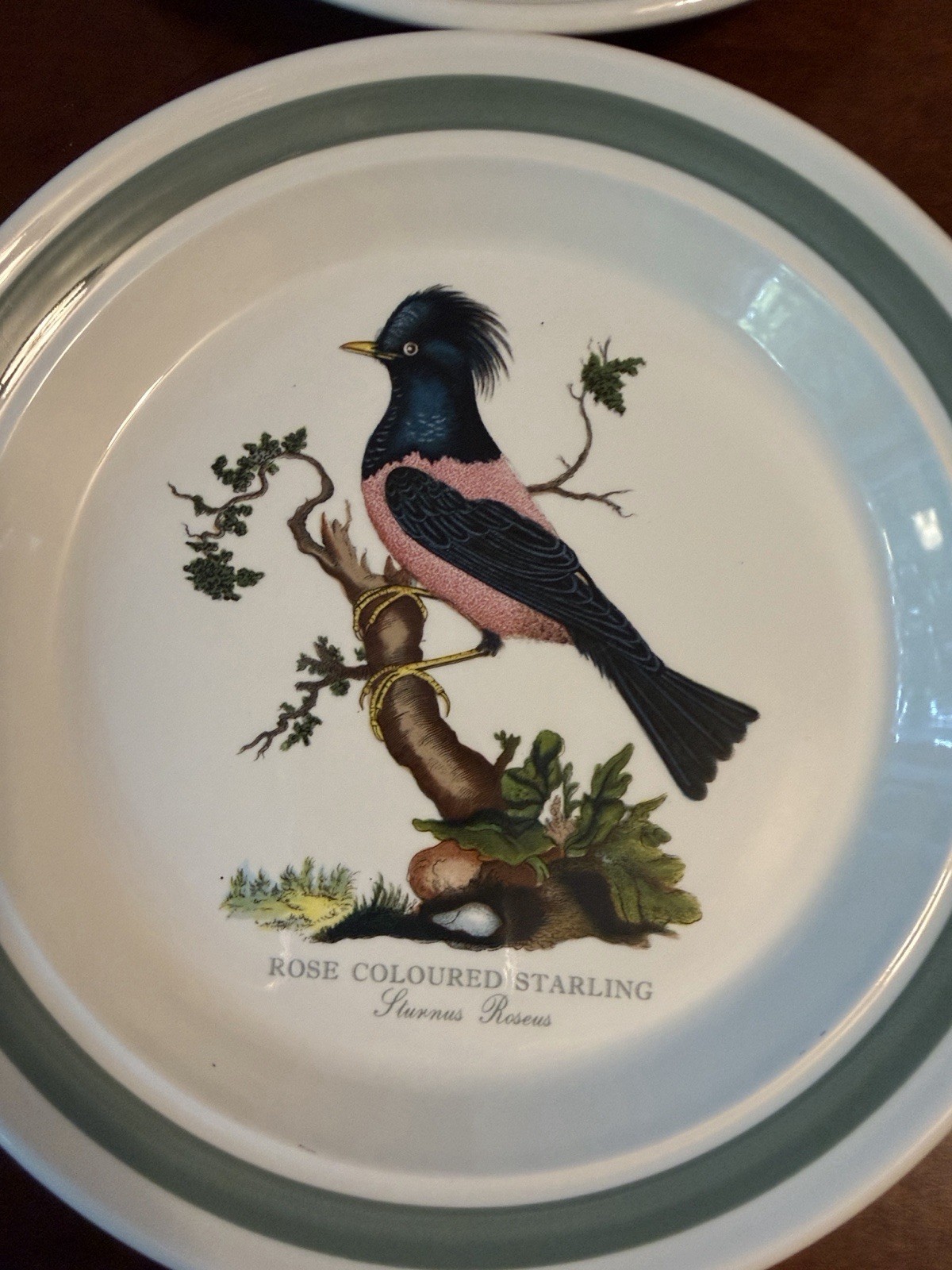 Portmeirion Birds of Britain Ceramic Salad Plates Green Rim 8 in Set of 6