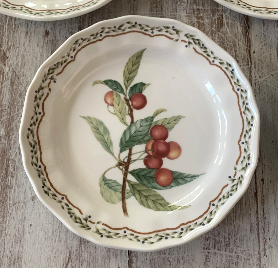 Noritake Casual Gourmet HARVEST Salad Dessert Plates Fruit 8.25″ Laurel Set 5
