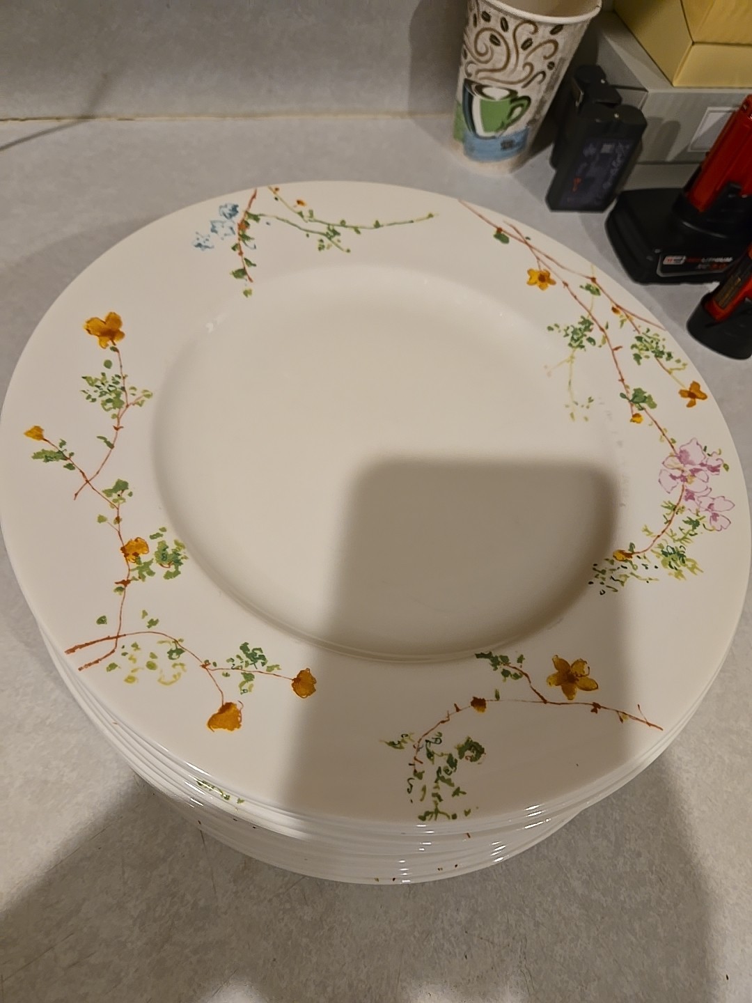 11 mikasa Sketch dinner plates 10 3/4 inches