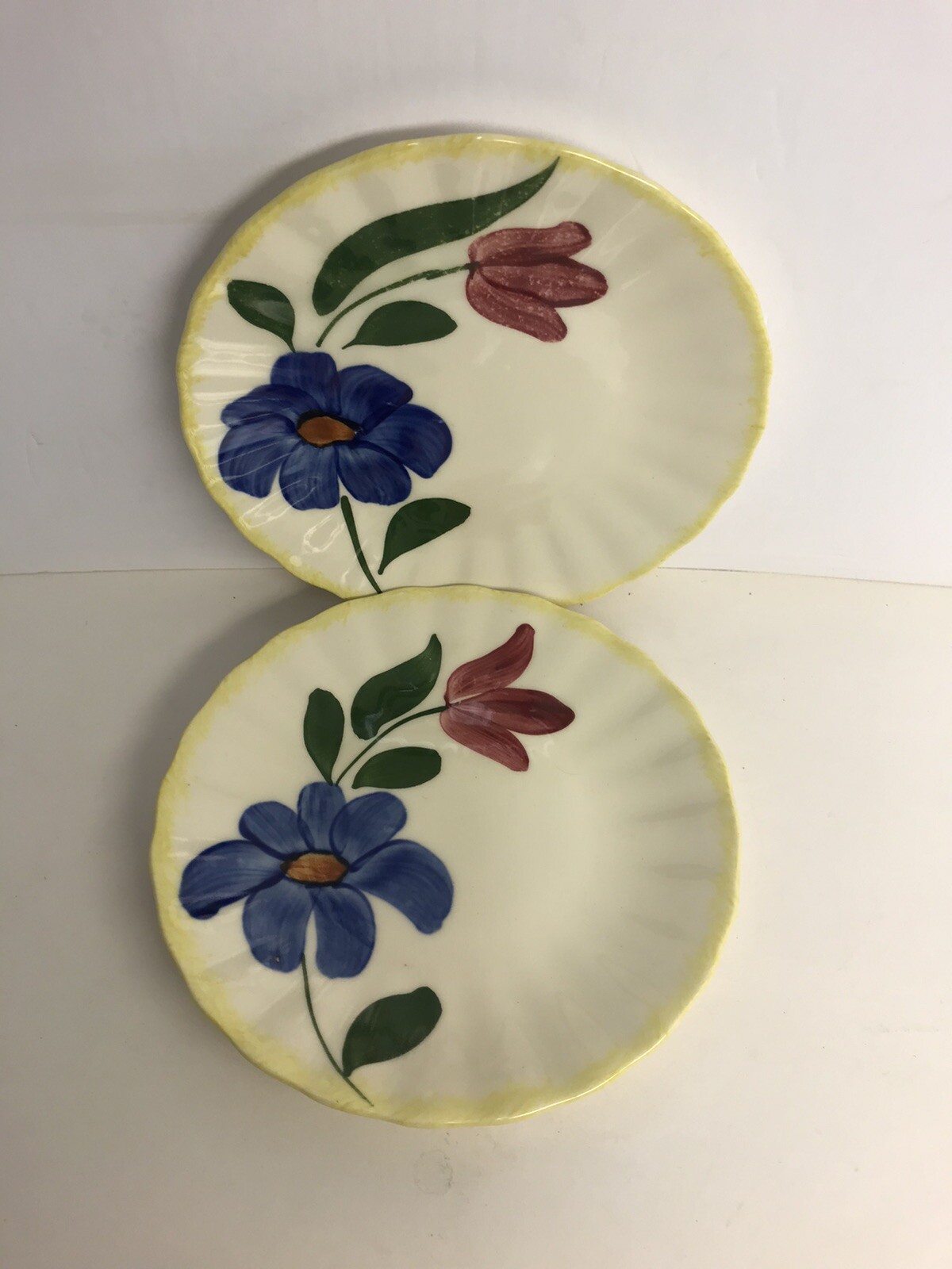 Blue Ridge Southern Pottery Bread & Butter Plates Sun Bouquet Set Of 2 6”
