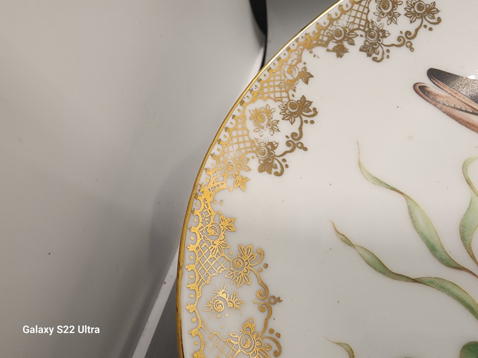 Antique Find Porcelain Limoges France Fish Platter 13.5″ Giraud Nankin