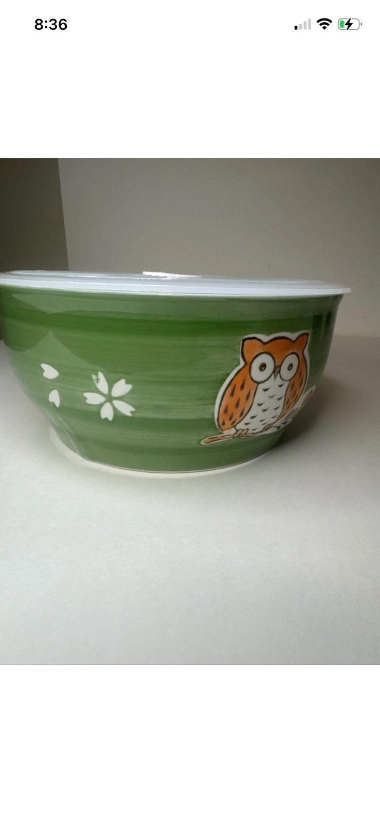 Yokohama Studio Hand Painted Rice Bowl w Lid Japanese Owl Design