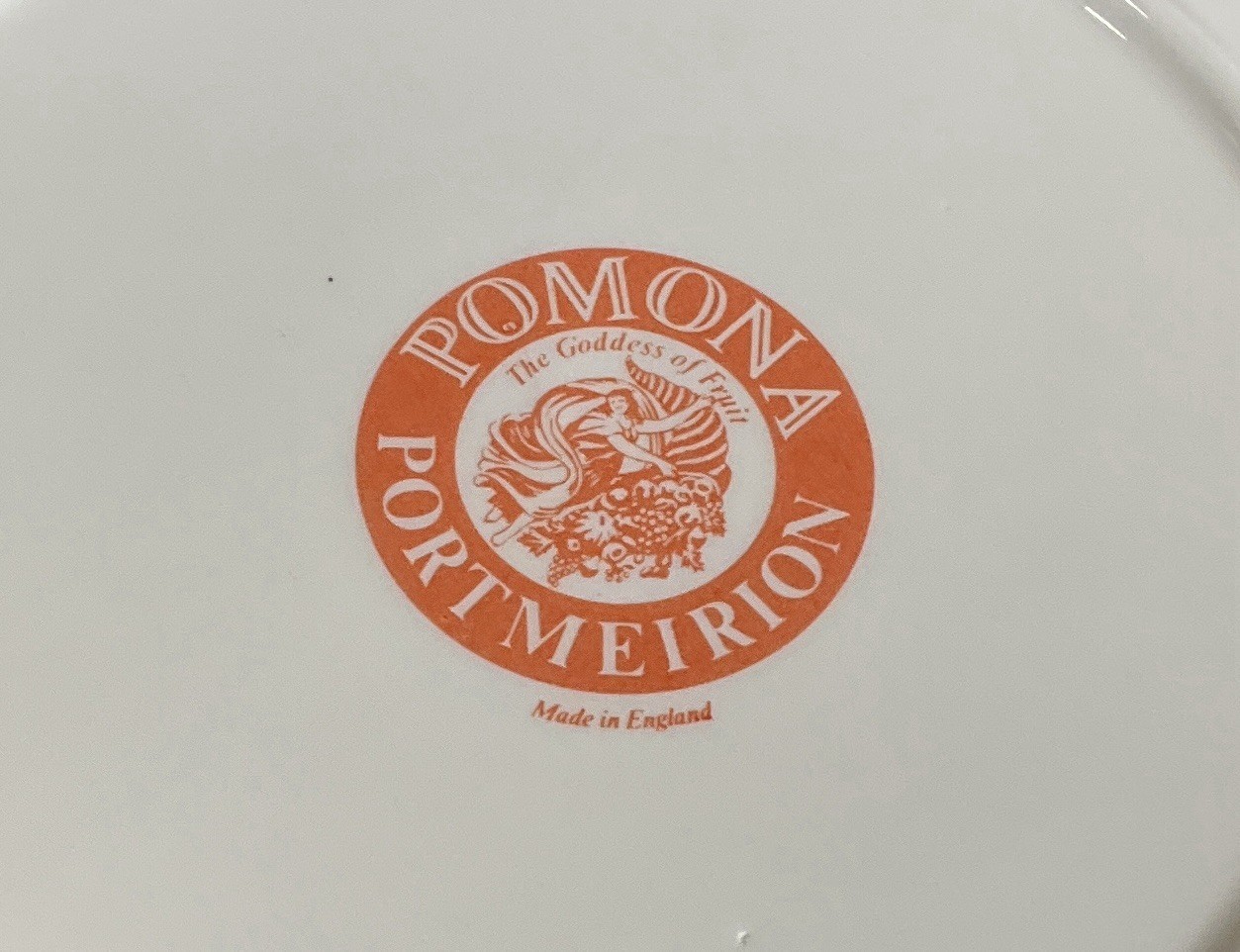 CHOICE! Portmeirion Pomona Dish Plate, Bowl, Canister, Salt, Mug, Serving ++++