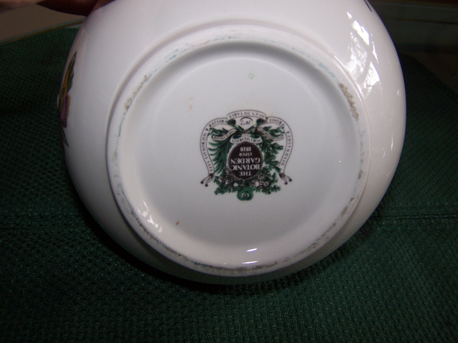 Portmeirion Botanic Garden 56 oz Water Pitcher Christmas Rose Butterflies 8”