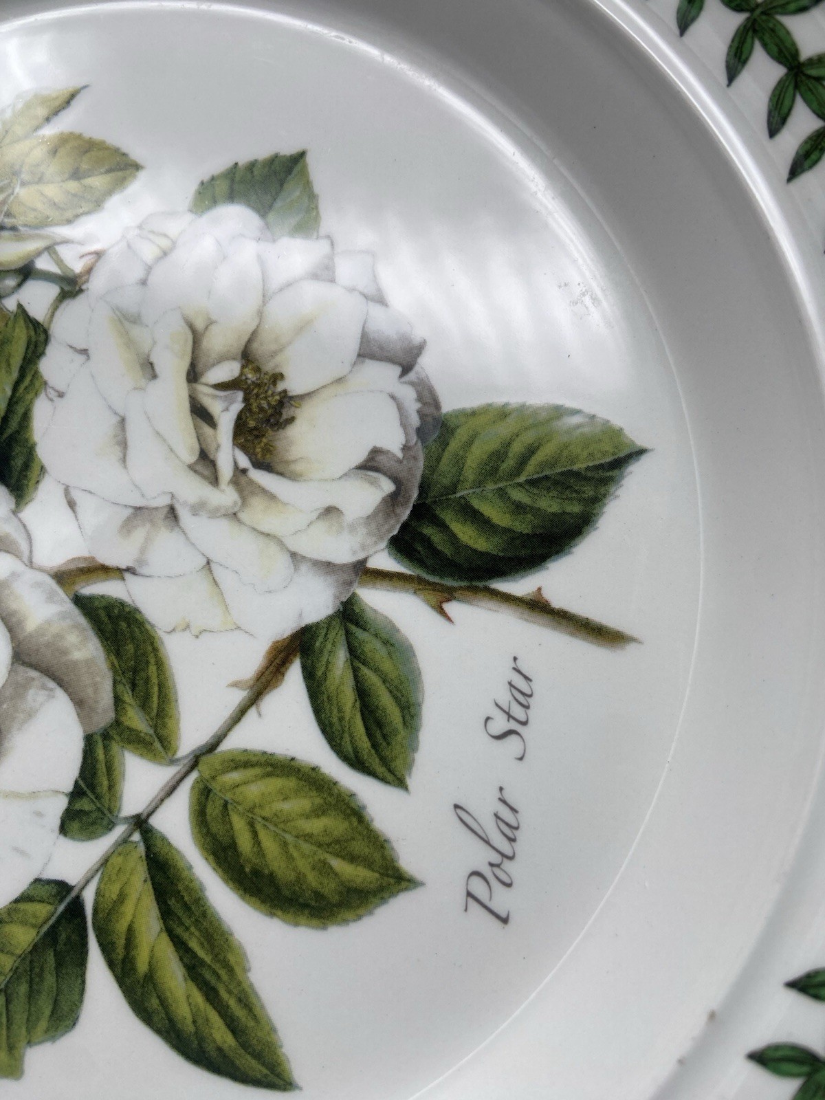 6 Portmeirion Botanic Garden Salad Plates Britain Roses Butterflies 8-1/2”