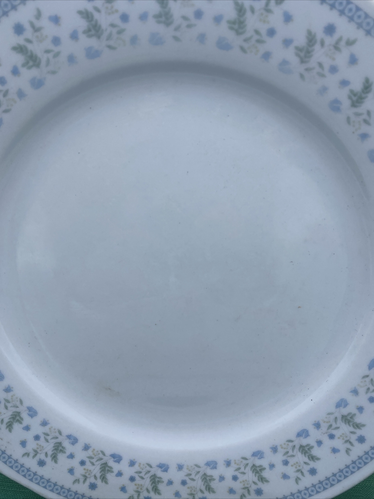 GUC-China-Blue/Green Bluebell Pattern 10” Dinner Plate