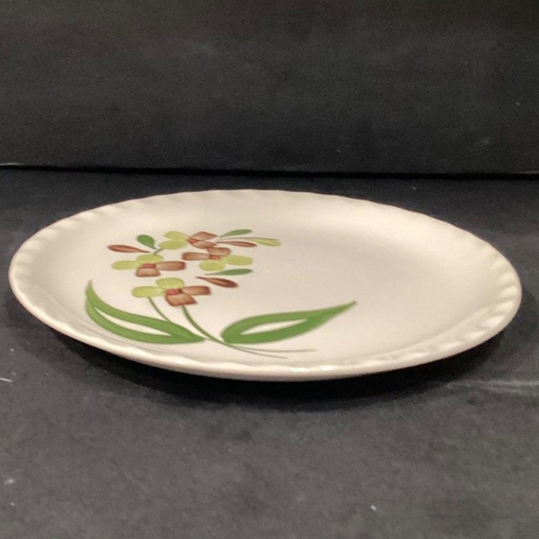 Blue Ridge Southern Pottery Dinner Plate, Vintage Hand-Painted Floral Dinnerware