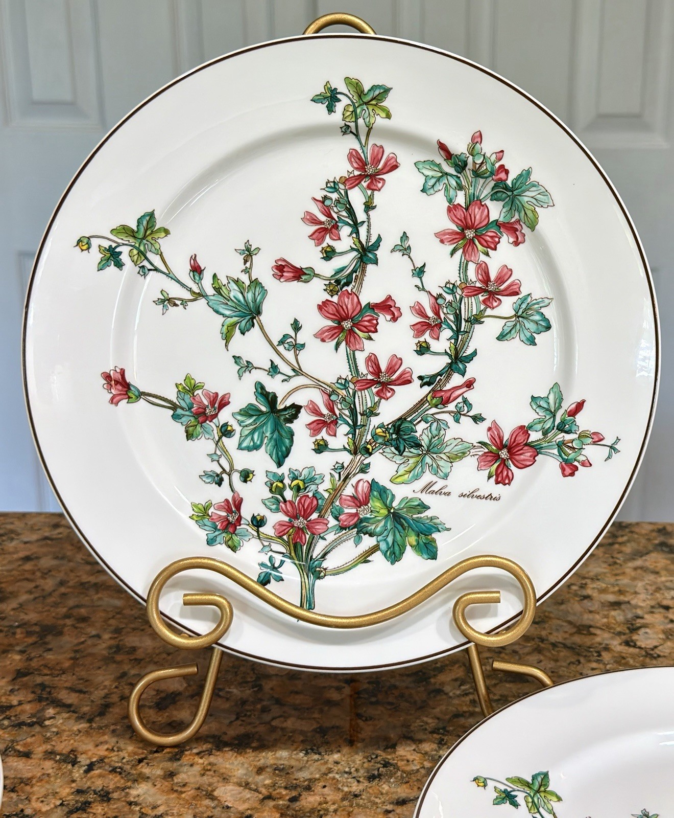 VTG Villeroy Boch Botanica Malva Silvestris 6 Dinner Plates 10-3/8 Luxembourg