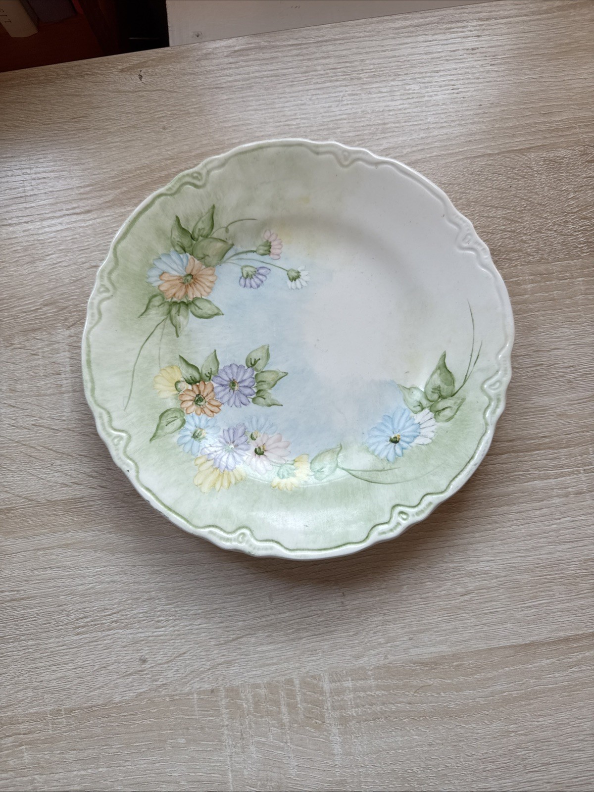 Vintage Hand Painted Floral 9.5” Dinner Plate Green Border Cottagecore Decor