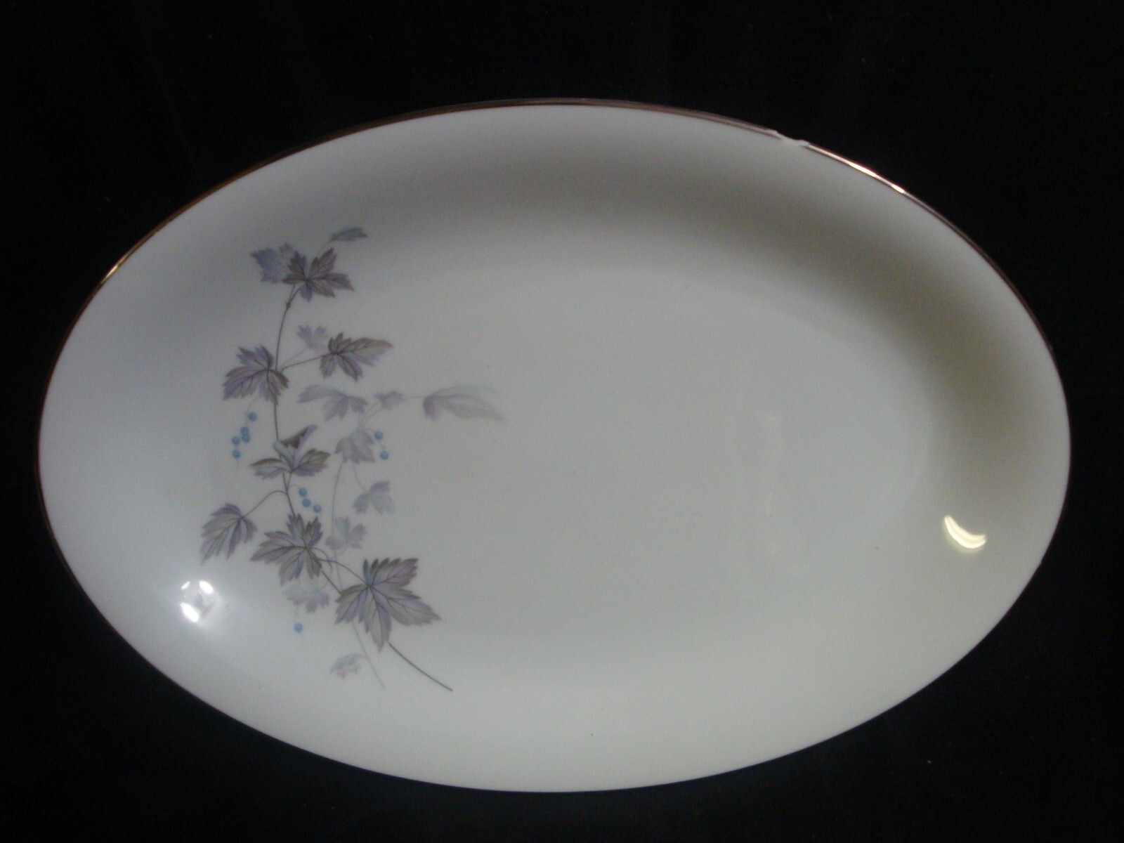 Noritake Porcelain China Ivyne Platinum Band Premium 15 Piece Lot