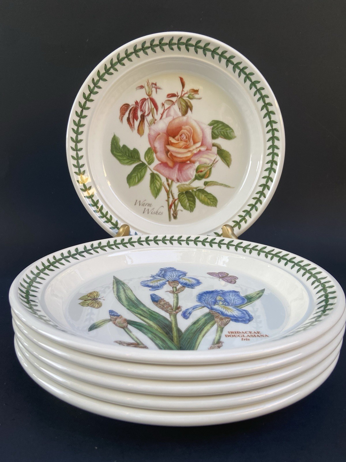 6 Portmeirion Botanic Garden Salad Plates Britain Roses Butterflies 8-1/2”