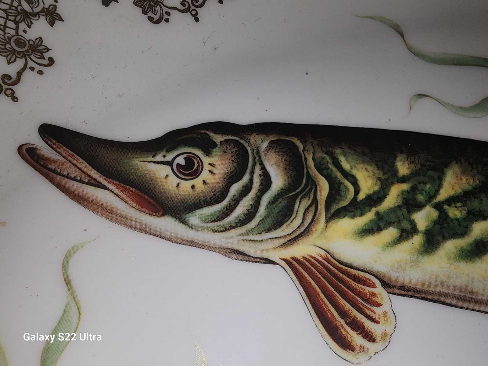 Antique Find Porcelain Limoges France Fish Platter 13.5″ Giraud Nankin