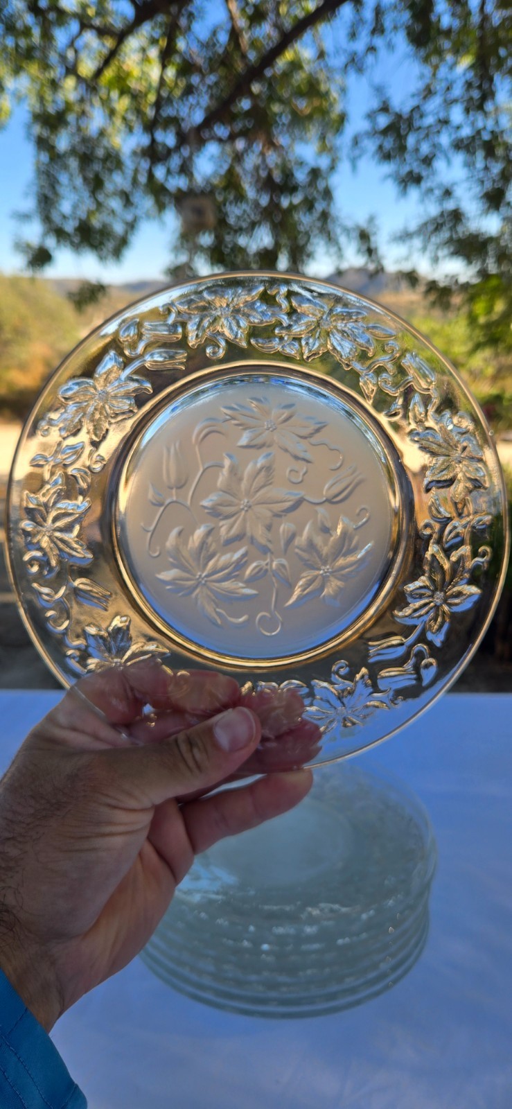 Set of 8x Princess House Fantasia Frosted Glass Crystal 8″ Dessert Salad Plates