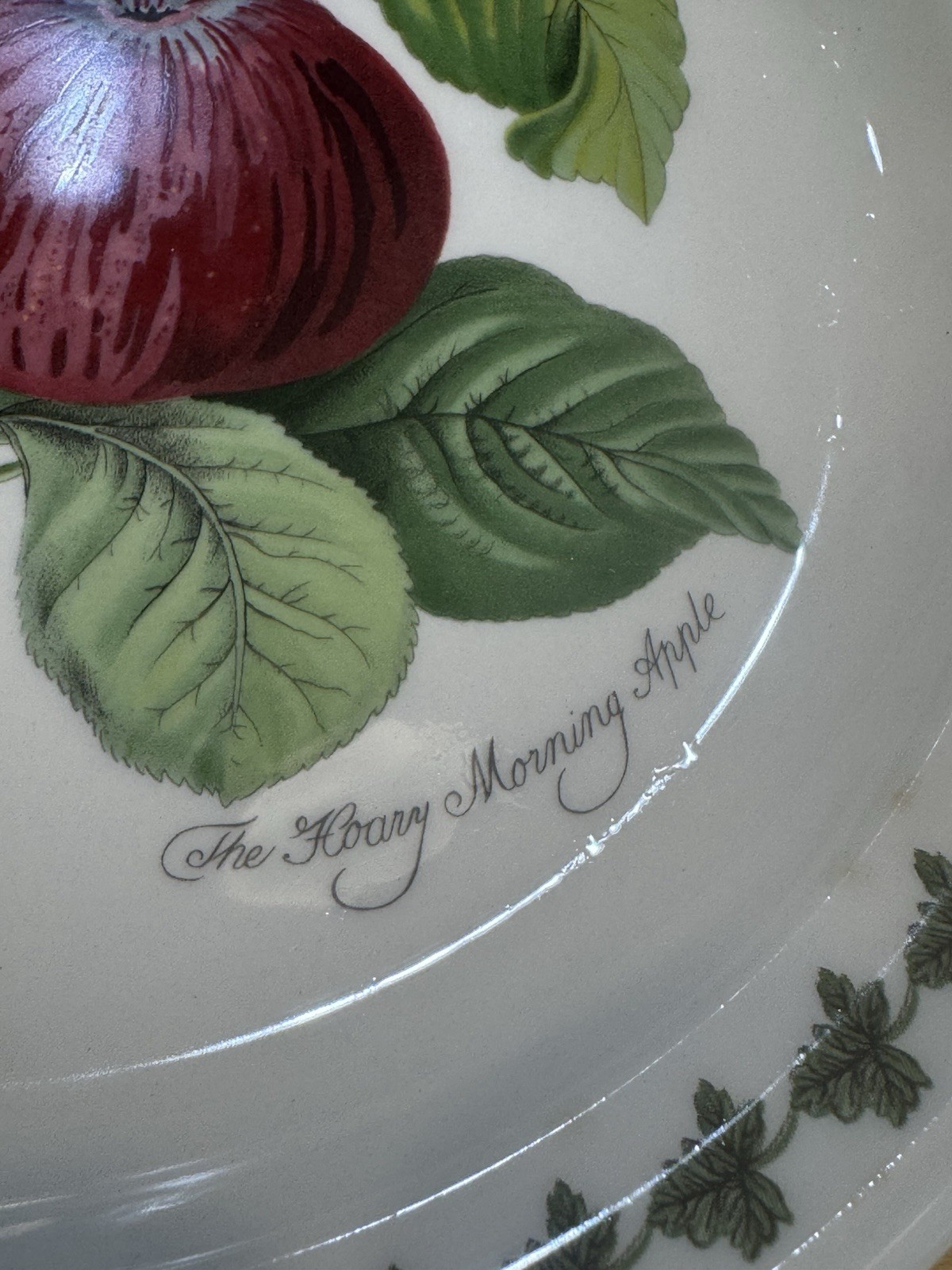 PORTMEIRION Set of 2 POMONA 8.5″ Salad Plates ~ Apple & Pear with Leaf Motif
