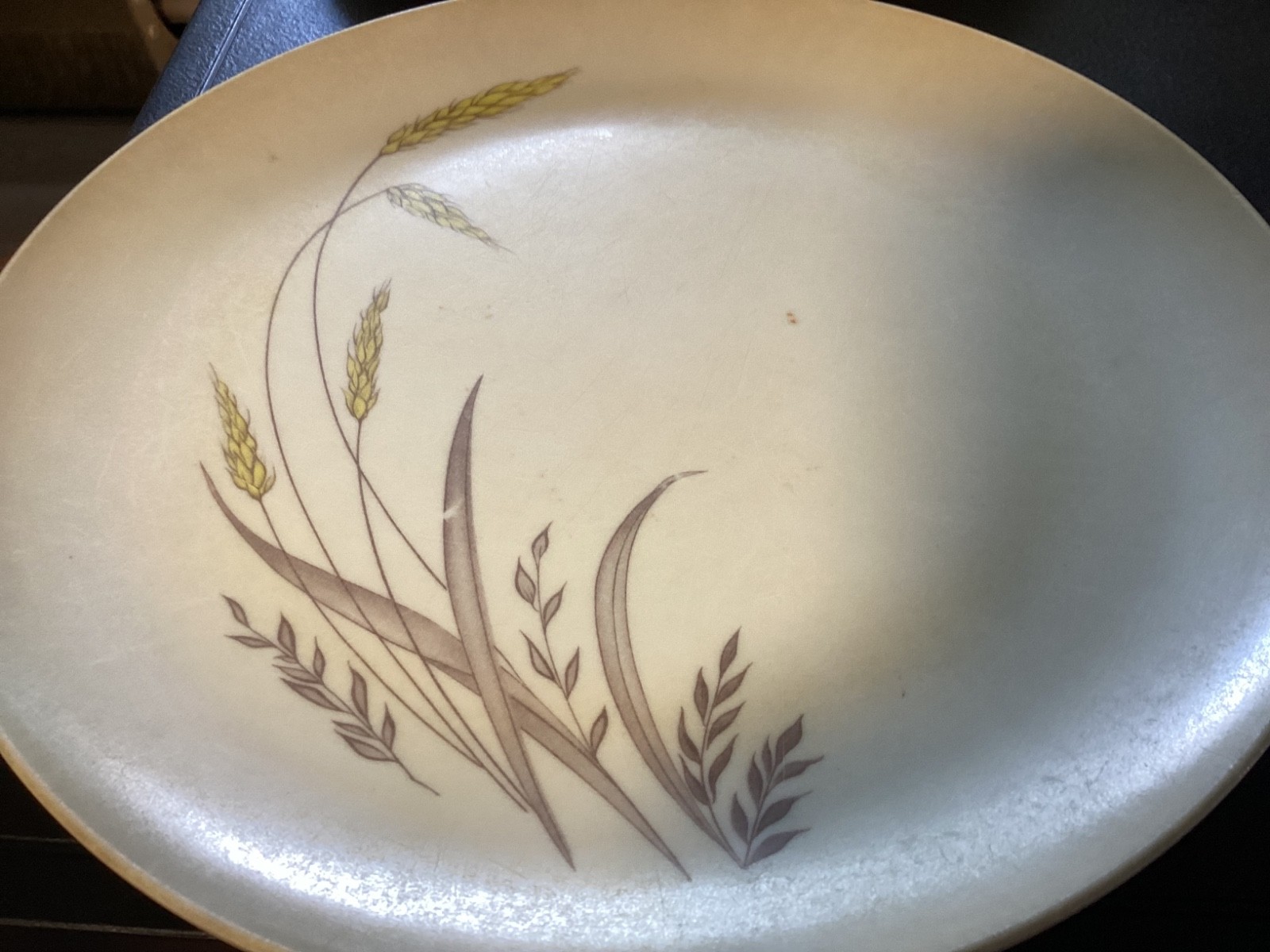 Set of (4) Wheat Pattern Plastic “Somerset” 9 7/8” Dinner Plates