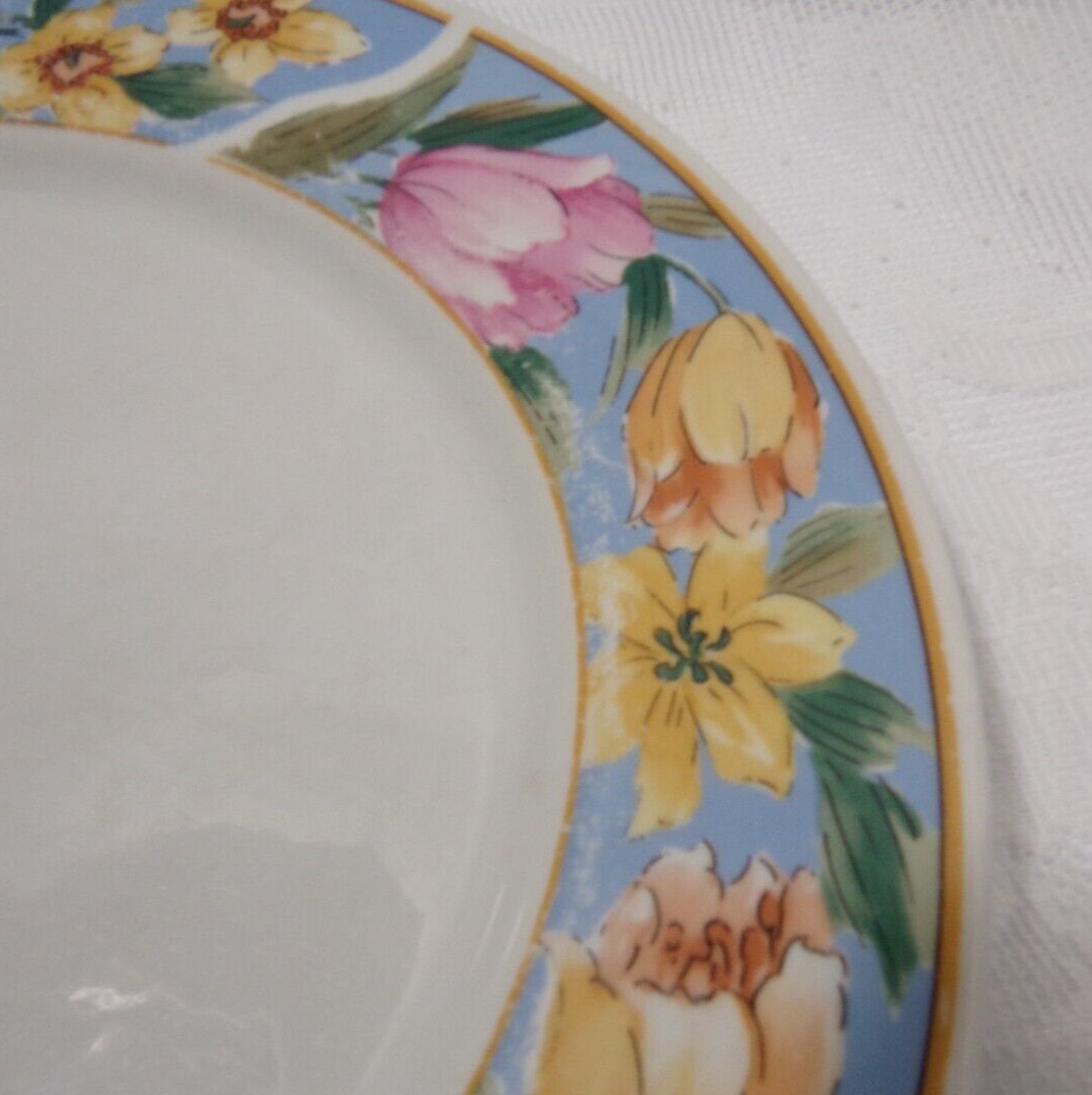 Vintage 1994 Farberware China ROSE GARDEN DINNER PLATE