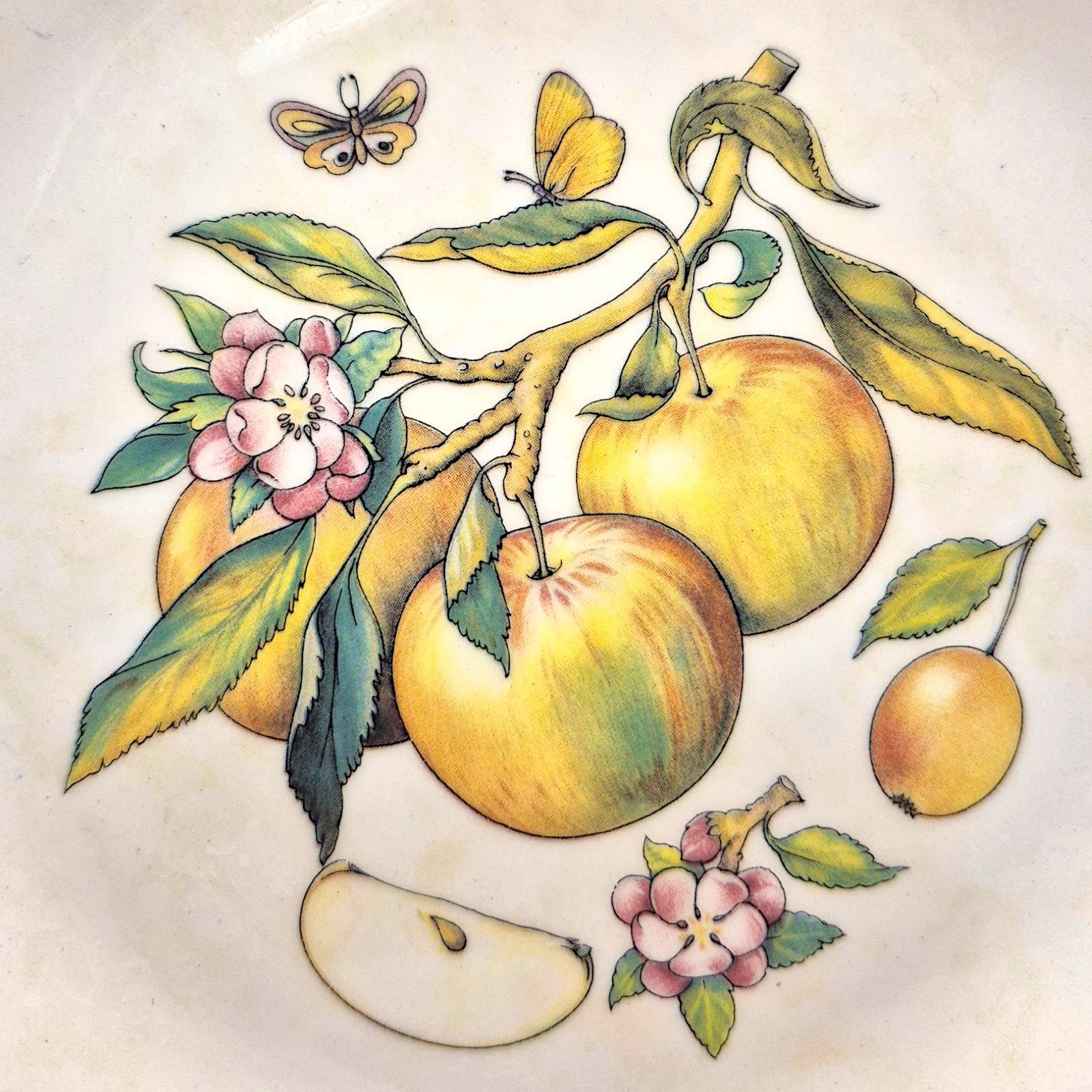 Vintage Himark Italy Fruit Plate 10″ Green Sponge Border Apple Blossom
