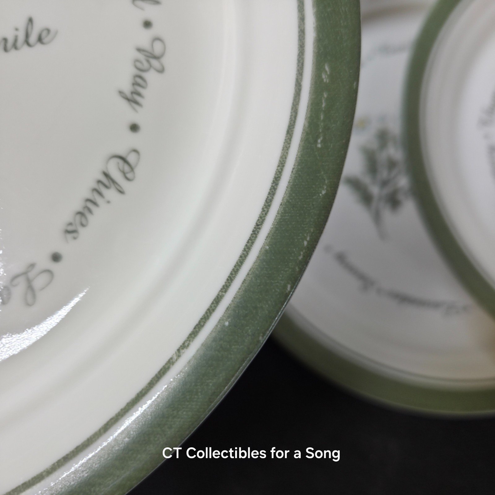 VTG Set 12 Corelle Thymeless Herbs Luncheon/Salad Plates 8 1/2″ Green