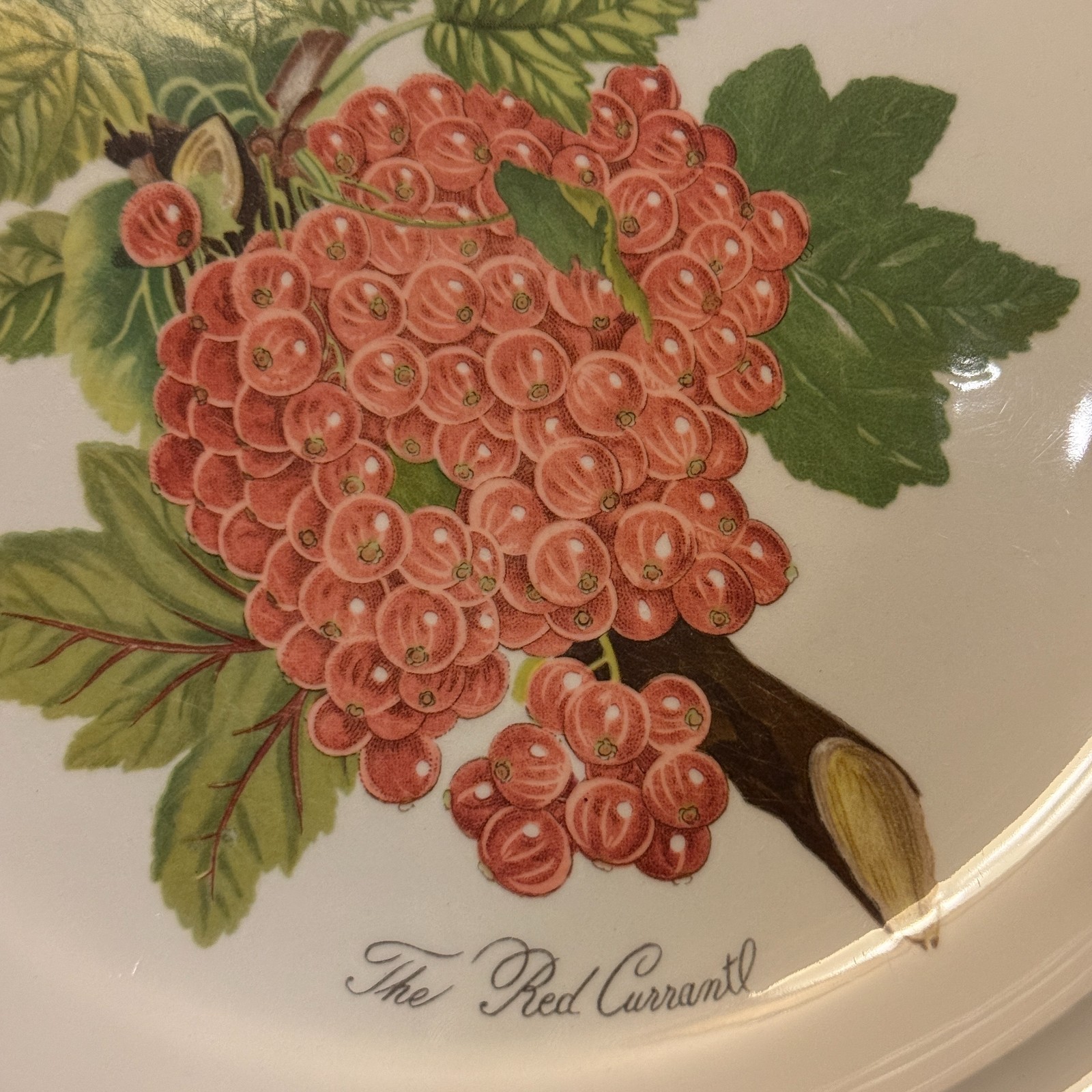 Portmeirion Pomona 2 Dinner Plates Currant & Peach 1 Salad Cherry No Border Engl