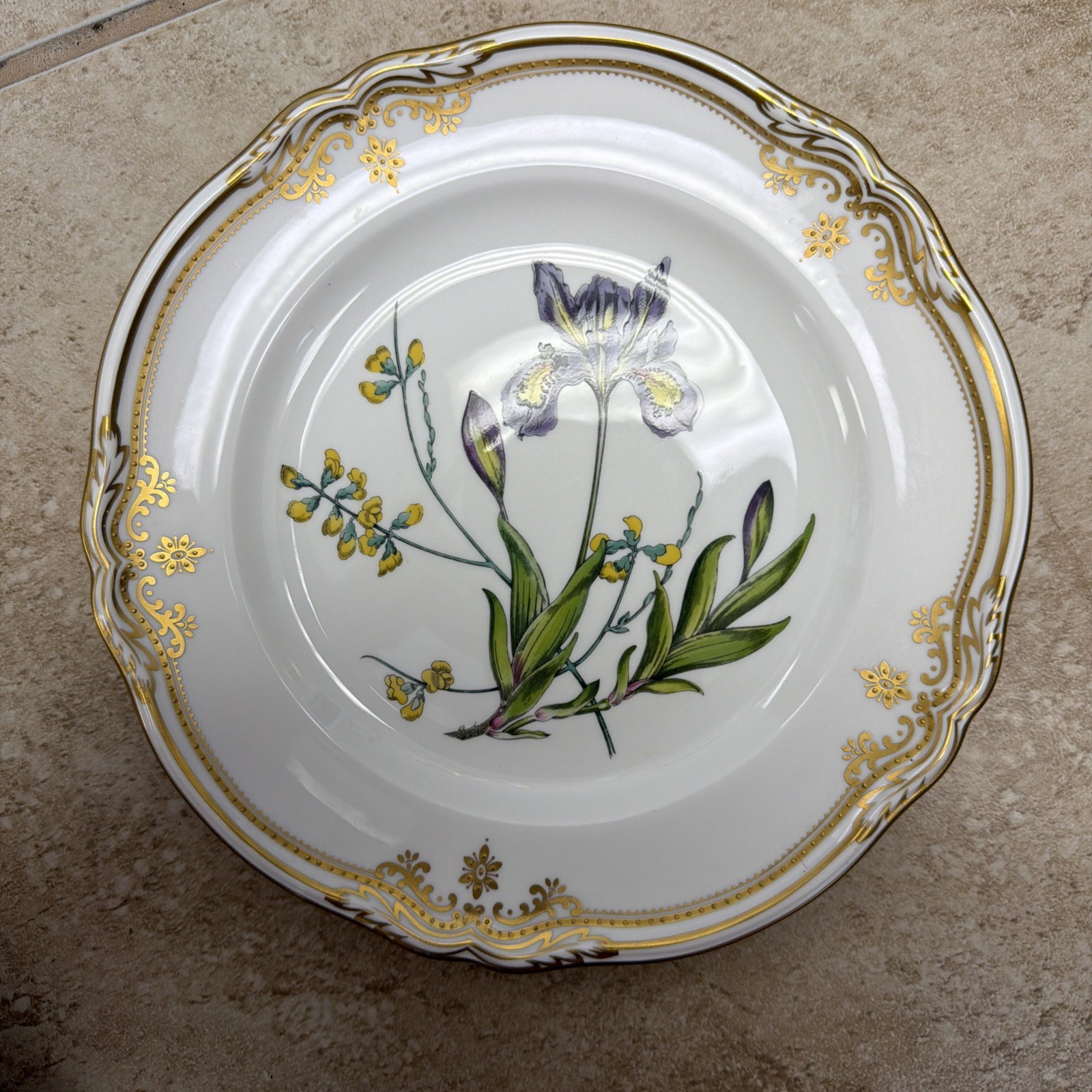 Spode Bone China Stafford Flowers 9 in Dinner Plate ENGLAND Iris & Sphaerolobium
