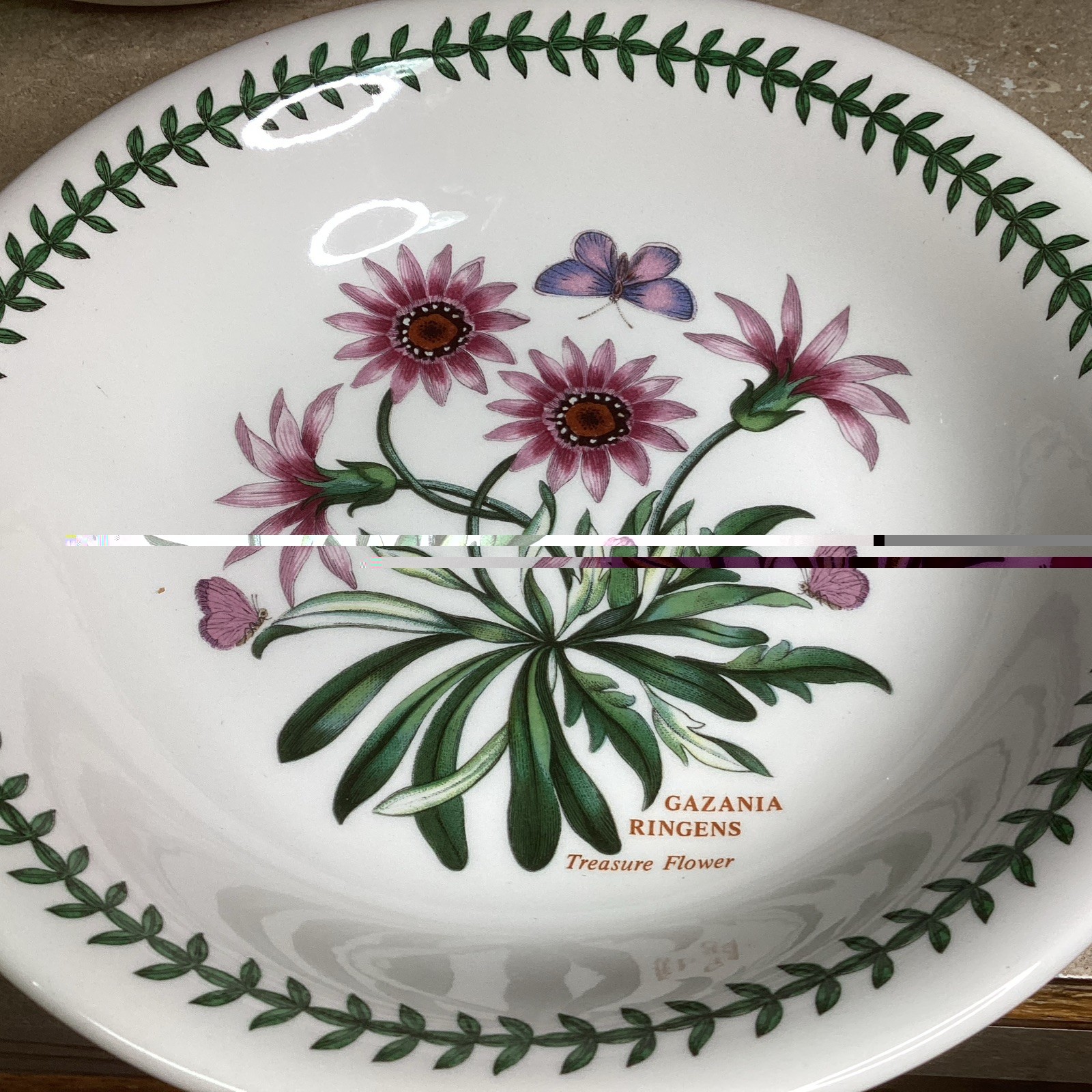 SET OF 4 Portmeirion BOTANIC GARDEN 8 3/4” Pasta / Soup Bowls – Assorted-new