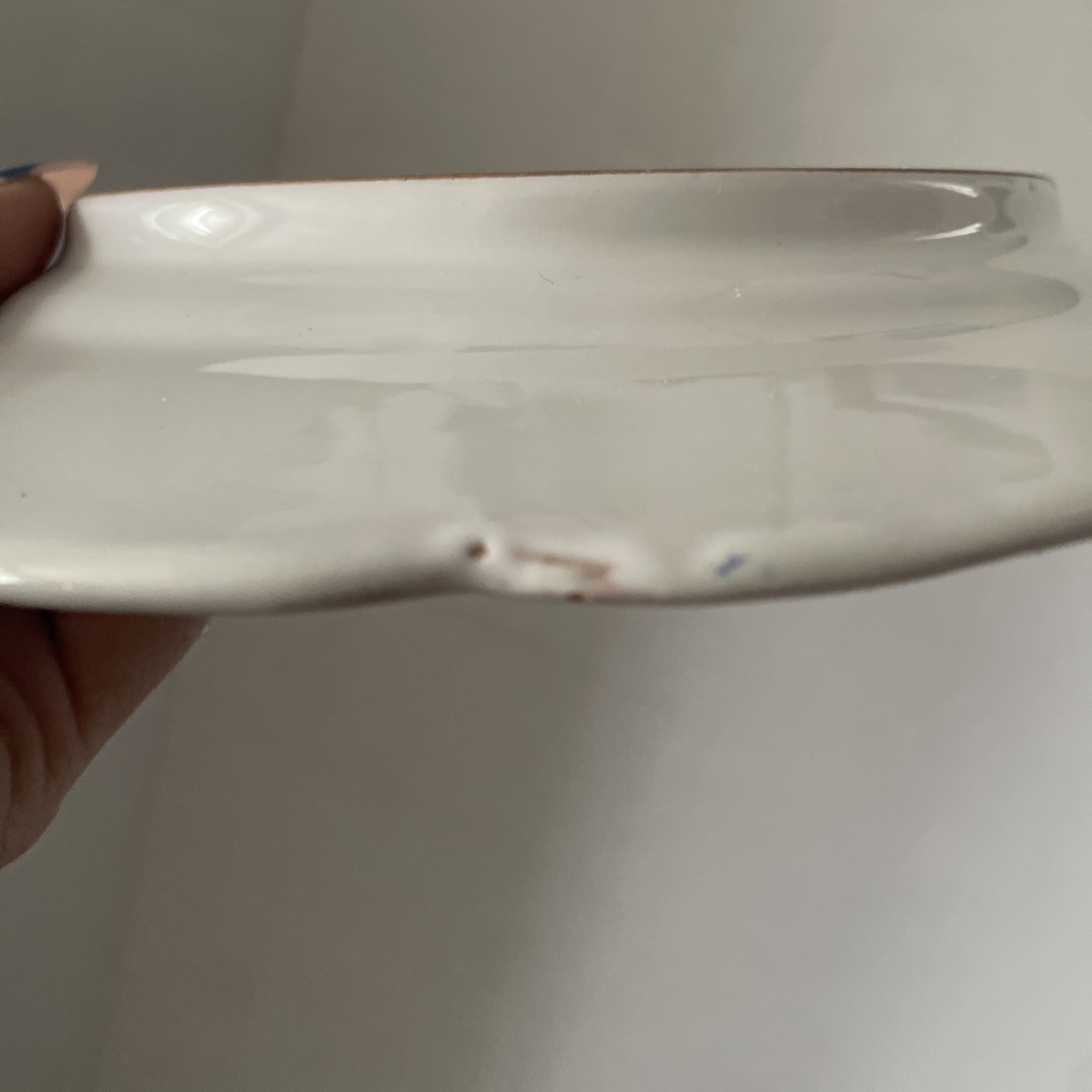 Vintage ND Dolfi Montelupo Italy Floral Wall Plates Set of 2